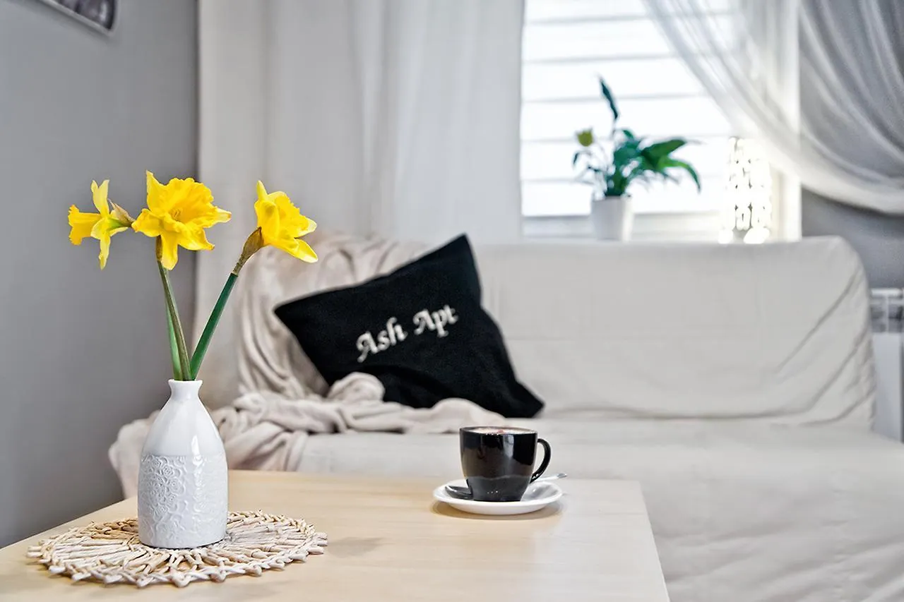 Ash Apartment Krakow Poland